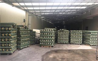 格利特新風(fēng)尚 創(chuàng)坤金蔥粉皮革聯(lián)營(yíng)百家革廠，點(diǎn)亮文藝創(chuàng)作之路